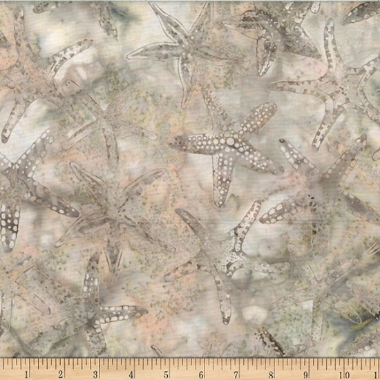 Starfish Papyrus