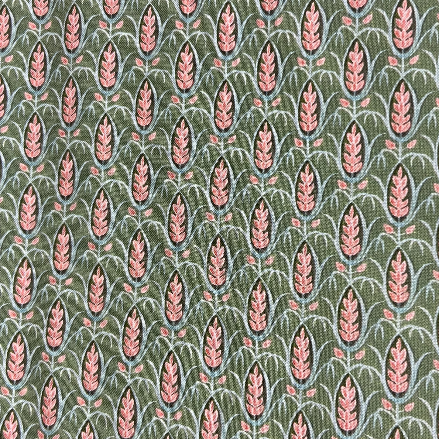 SoCats Green Wheat