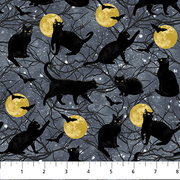 Cats Bats Moons