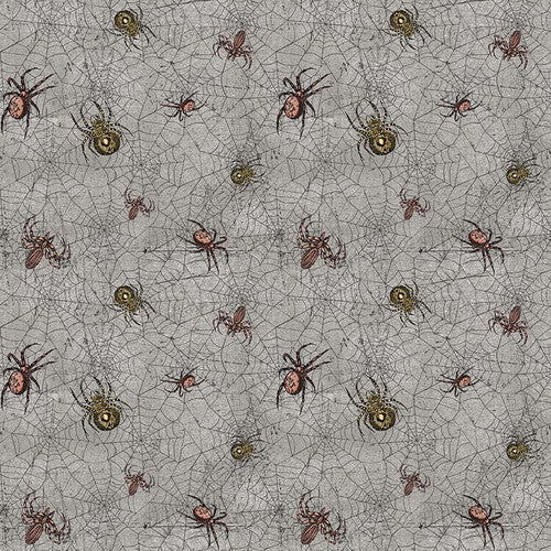 Spooky Spider