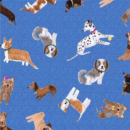 Uptown dogs