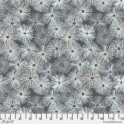 Sea Urchin