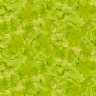 Watercolor Olive