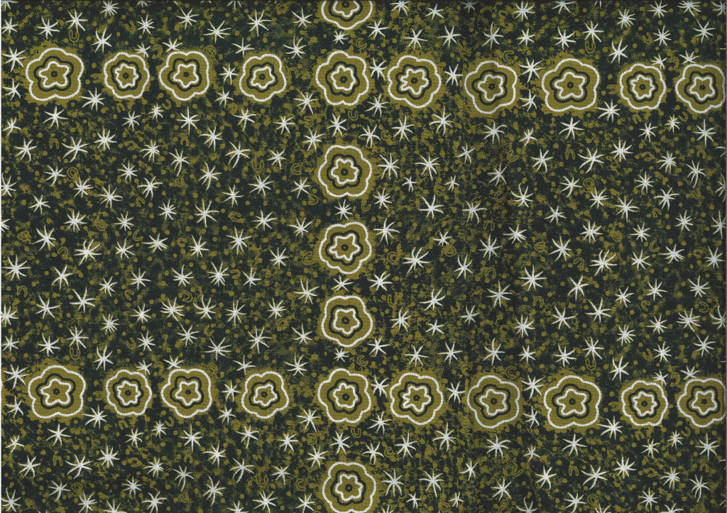 Women Watching Stars