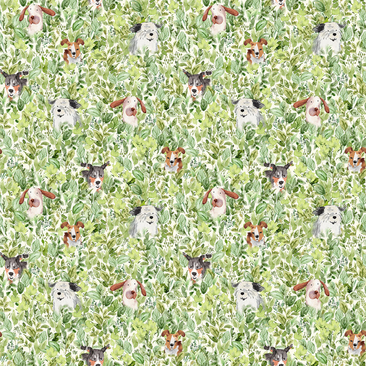 Dogs in Field