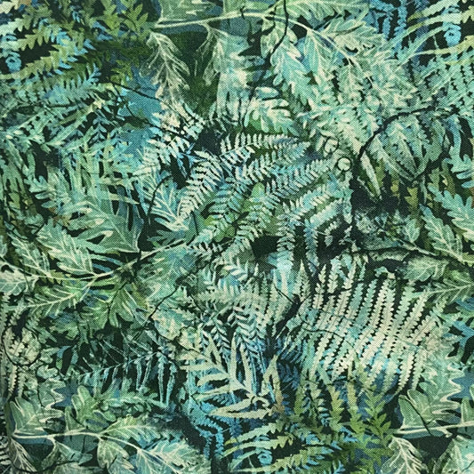 NP Fern Evergreen