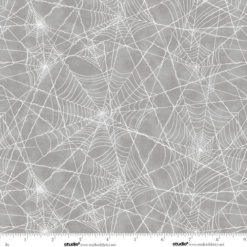 Pretty Scary Spider Web Storm