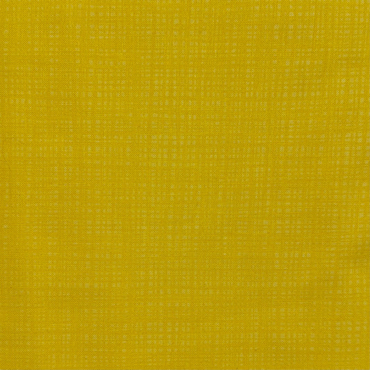 Texture Sunshine