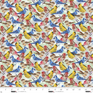 Airmail Bird Crowd