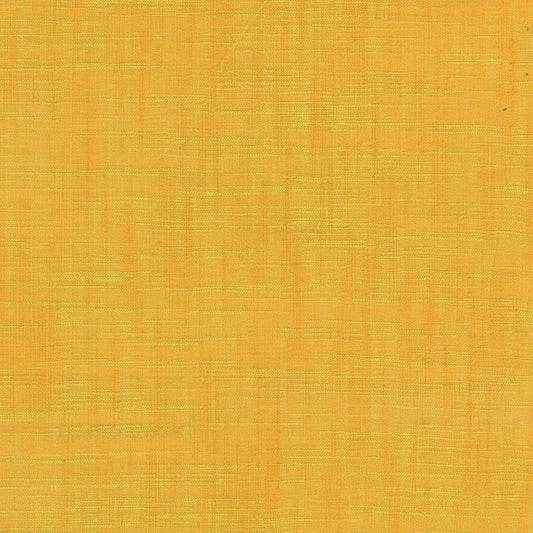 10004040
