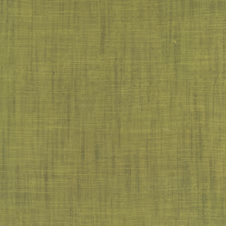 10004041