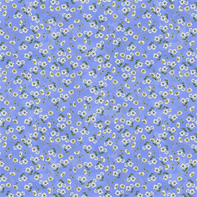 10004061