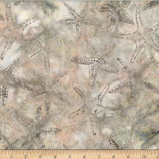 Starfish Papyrus