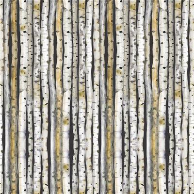 Wild Wonder Birch Trees