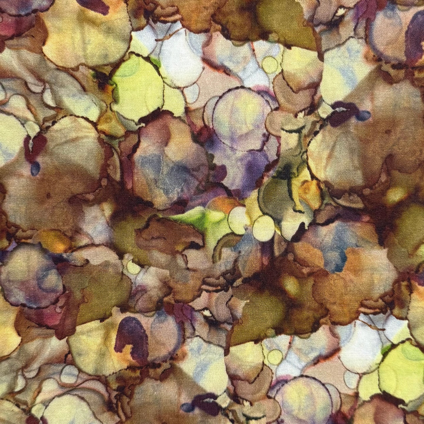 Wild Wonder Moss Stones