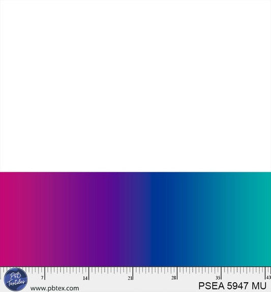Painted Sea Ombre