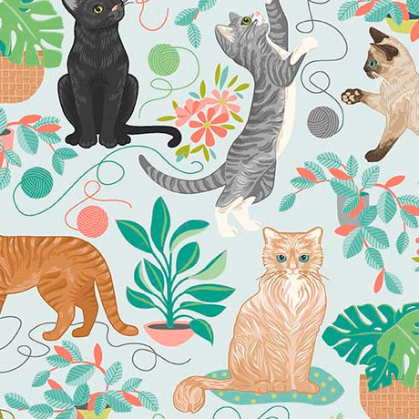 Curious Kittycats Plants Lt Blue