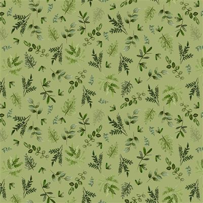 Wild Wonder Fronds Olive