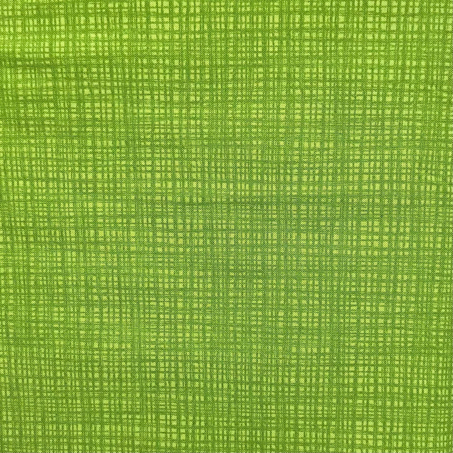 Texture Turtle