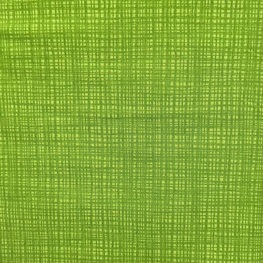 Texture Turtle