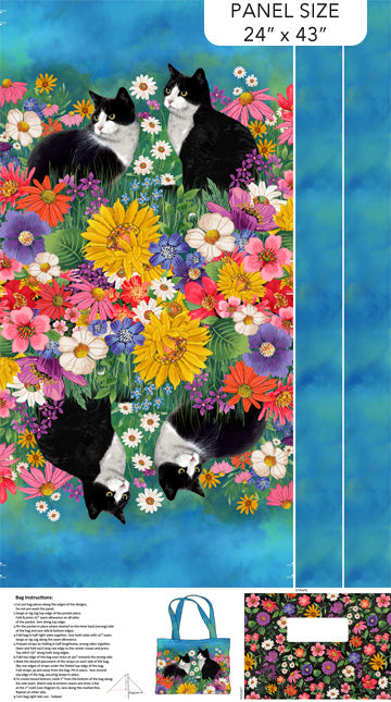 Hide & Seek Cats on Blue
