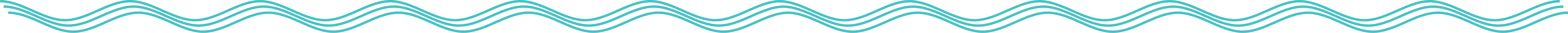 Section Divider