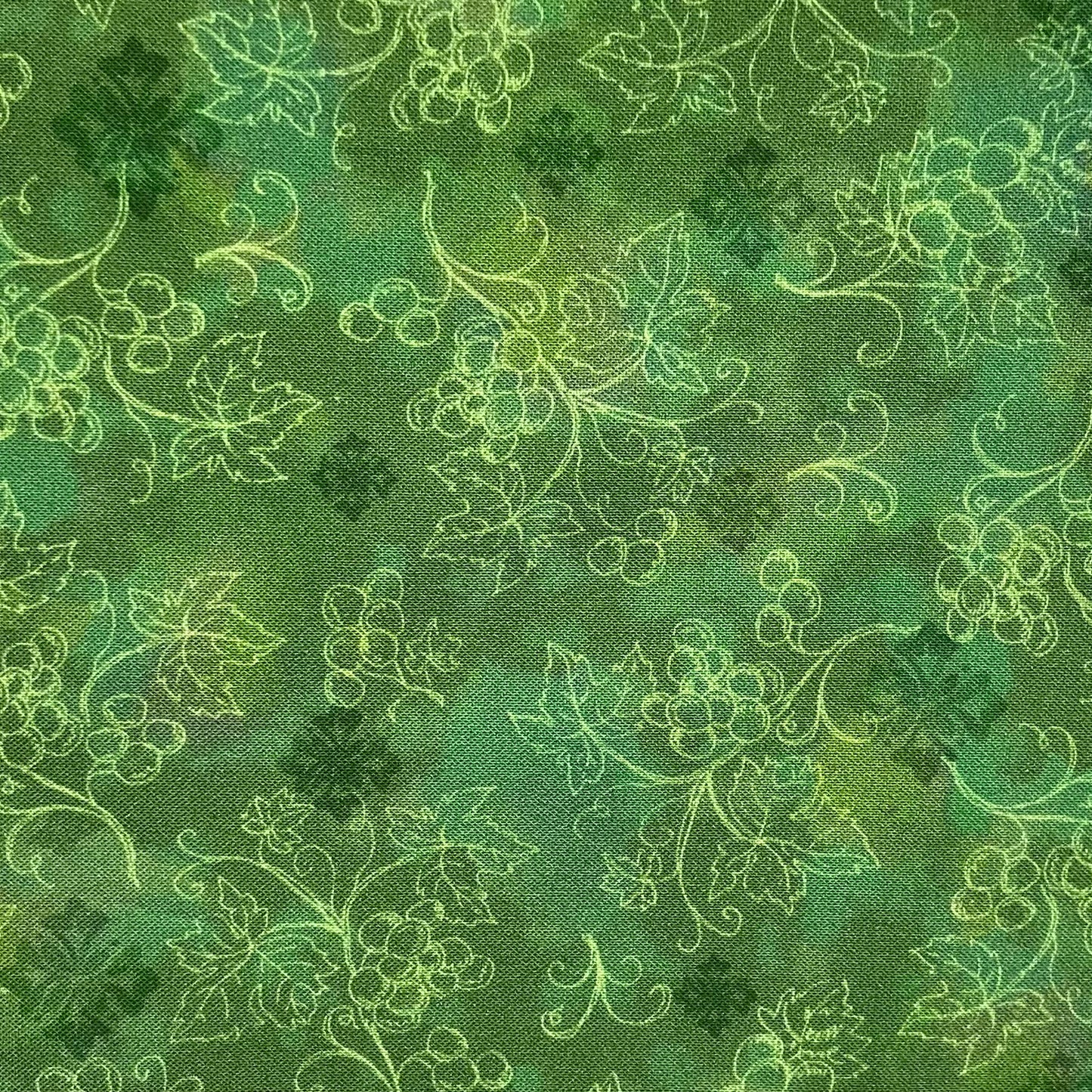 Wine Grapes Green