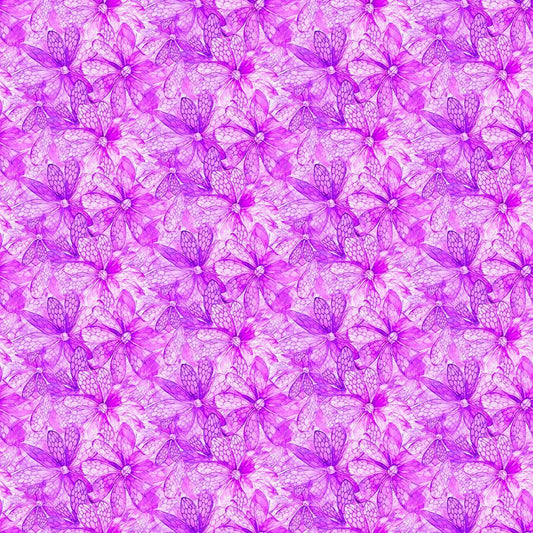 Dragonfly Nature Purple