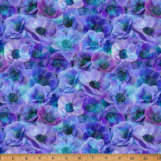 Flourish Lupine