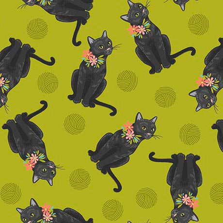 Curious Kittycats Tossed