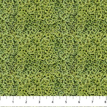 Nature Foliage