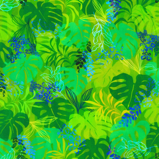 Midnight in the Jungle