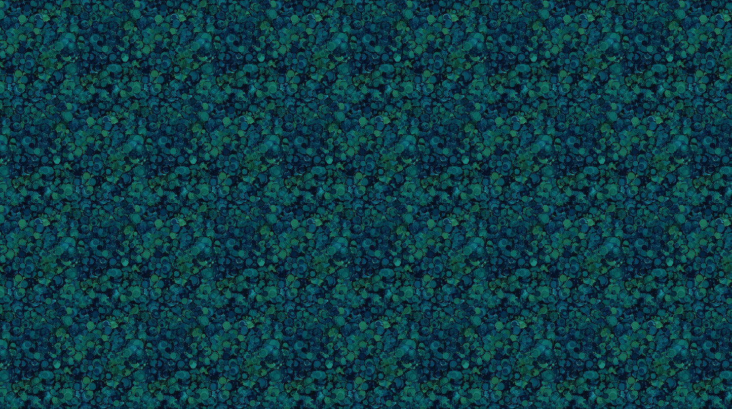 CCF  Navy/Teal
