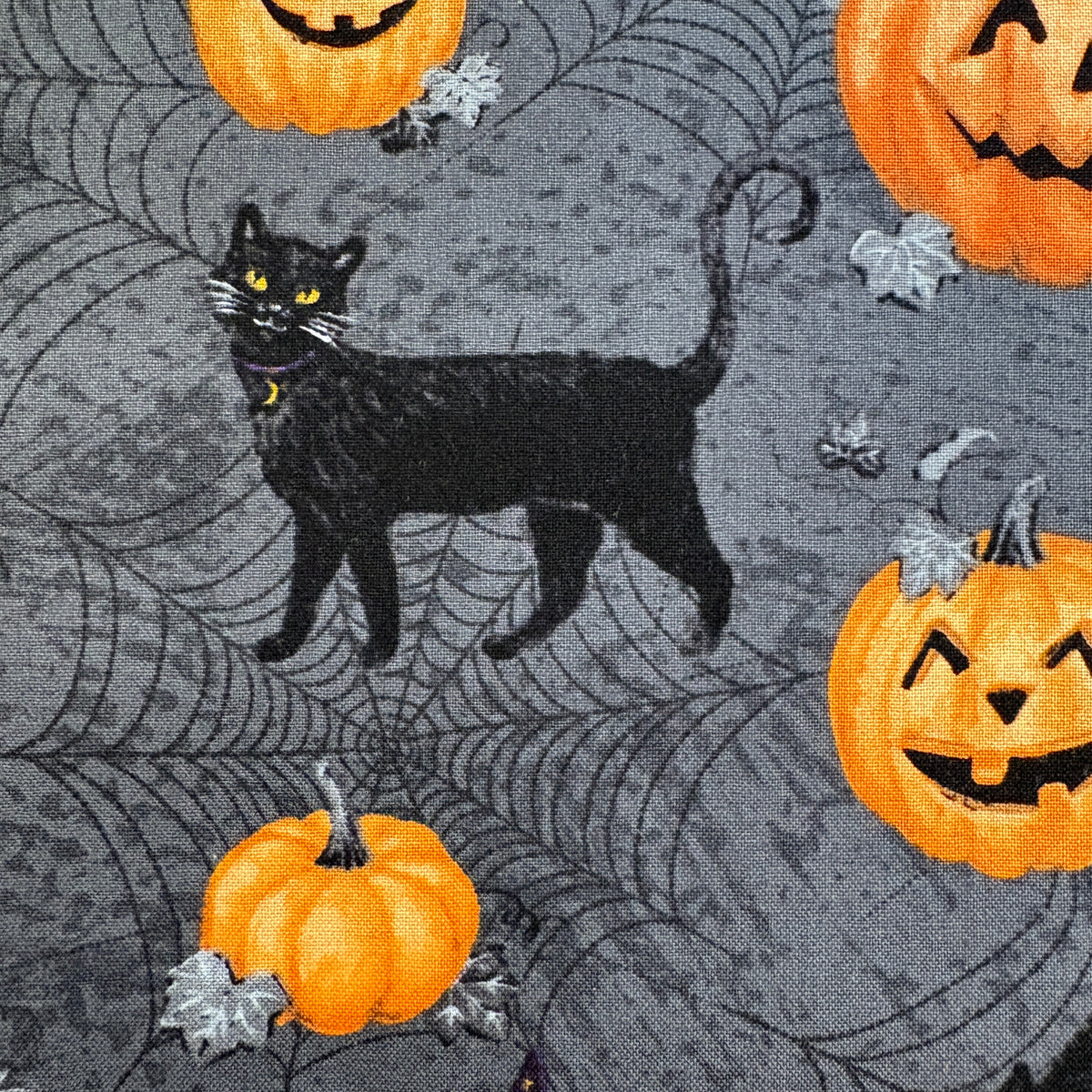 Meow Cats & Pumpkins