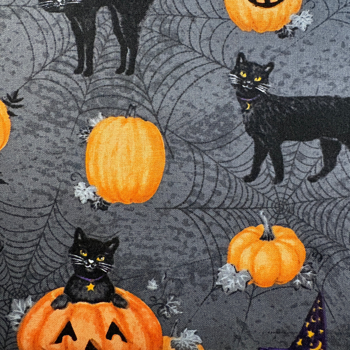 Meow Cats & Pumpkins