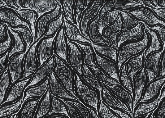 Sandhill and Waterhole Black