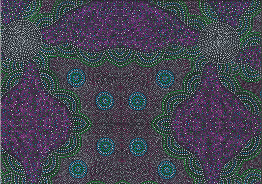 Kangaroo Grass Purple