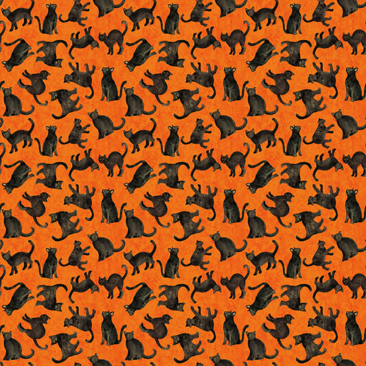 H Eve Cats Orange
