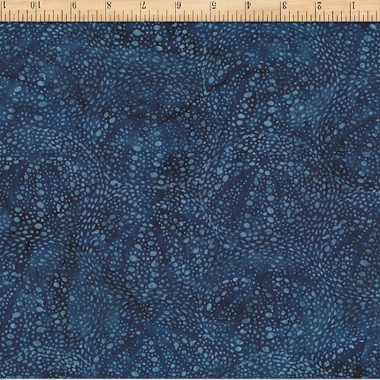 Sea Urchin Atlantic
