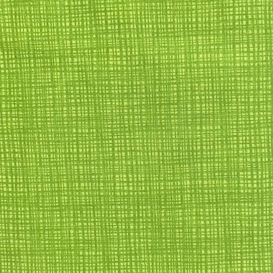 Texture Turtle