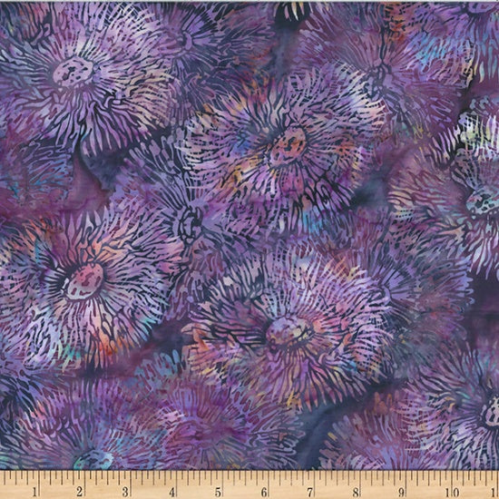 Anemone Boysenberry