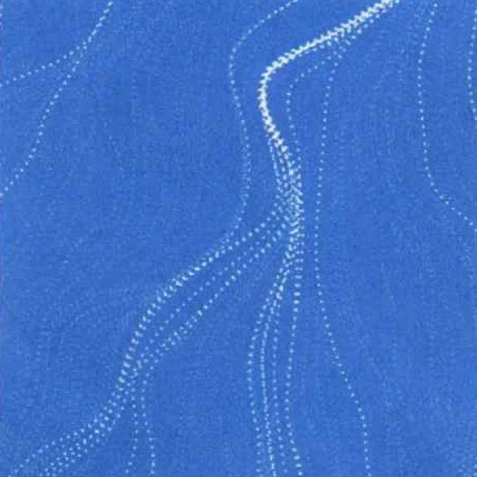 Sandhill Blueberry