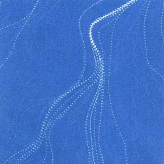 Sandhill Blueberry