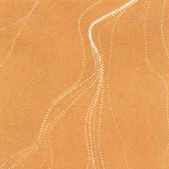Sandhill Mustard