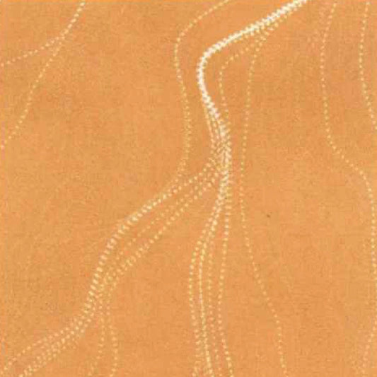 Sandhill Mustard