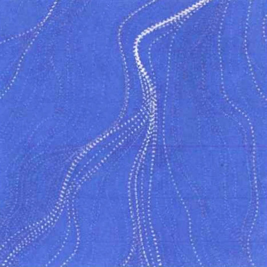 Sandhill Periwinkle