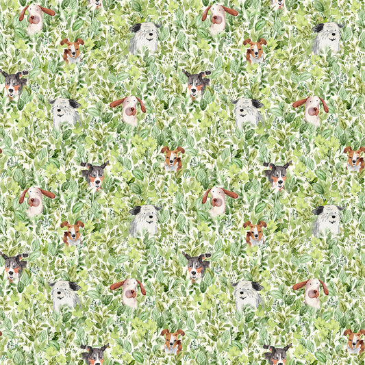 Dogs in Field